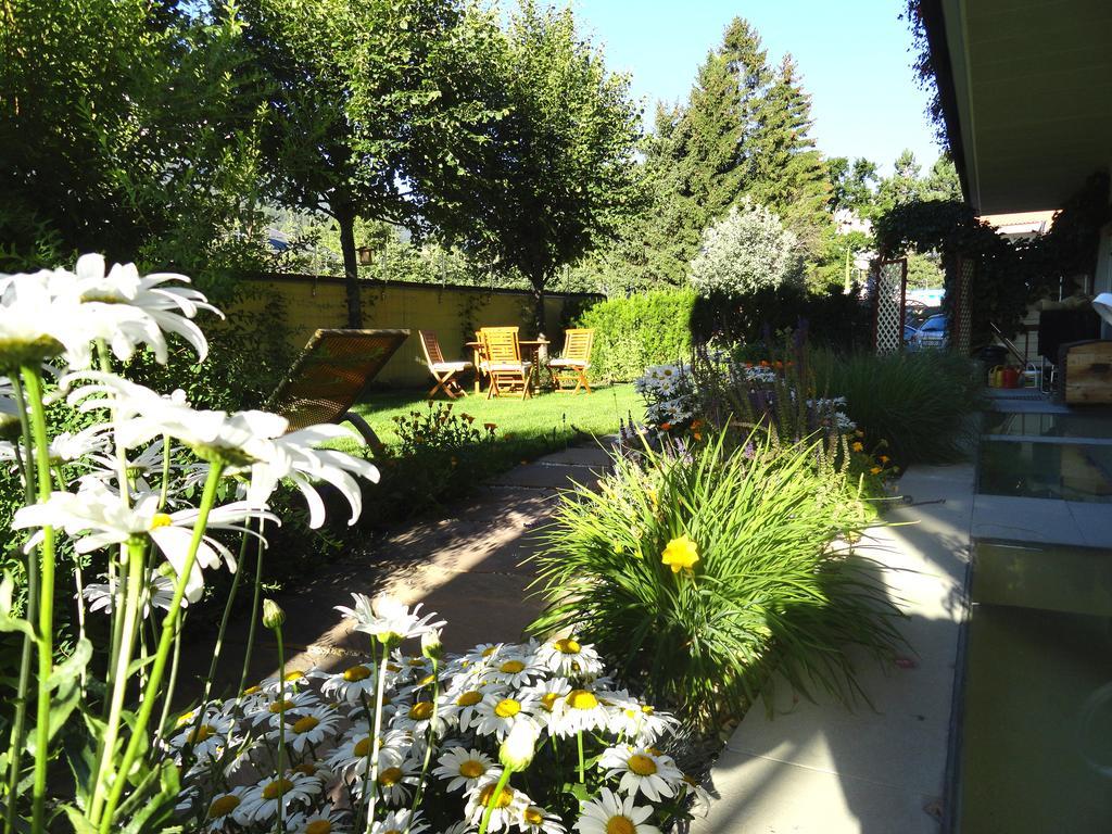 Residence Intica 산칸디도 외부 사진